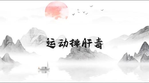 运动排肝毒 商品图0