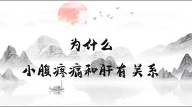 为什么小腹疼痛和肝有关系