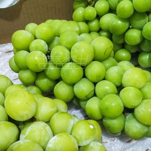 阳光玫瑰青提   商品图8