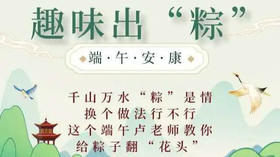 万水千山粽是情换个做法行不行