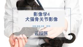 影像学4 犬猫骨关节影像