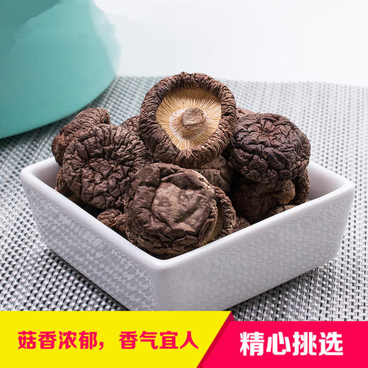 【十方田】金钱菇 商品图0