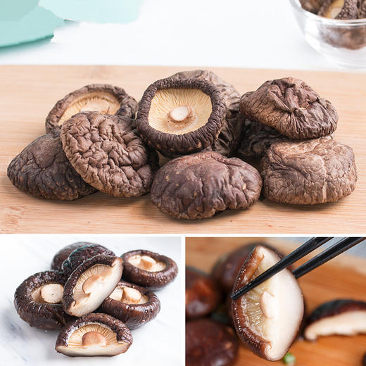 【十方田】金钱菇 商品图3