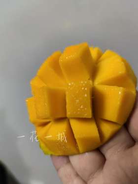 攀枝花小金煌芒布丁 核薄肉糯，Q弹果冻口感，非套袋种植，8斤，中通包邮