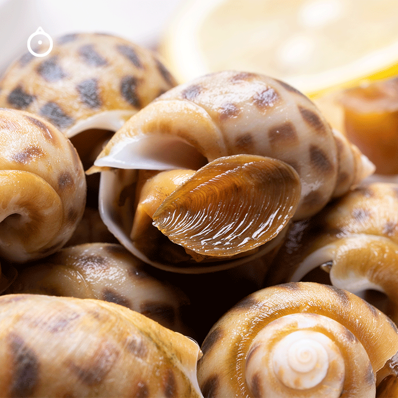 即食下酒菜 醉醉花螺 1.15kg/罐 熟食卤味