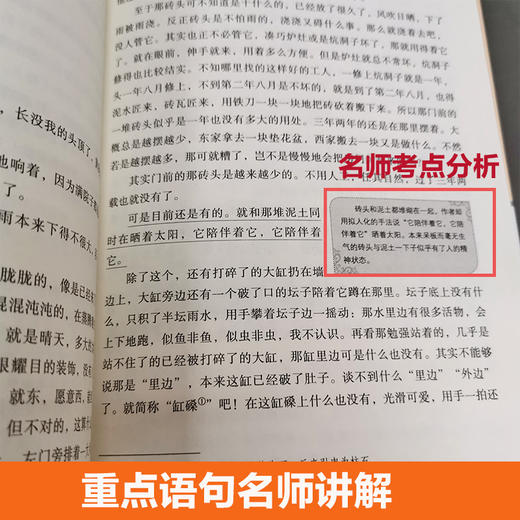 海底两万里+骆驼祥子七年级推荐阅读 商品图1