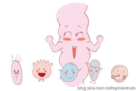 婴幼儿专用益生菌的价值和食用注意事项