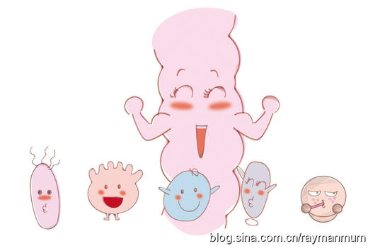 婴幼儿专用益生菌的价值和食用注意事项 商品图0