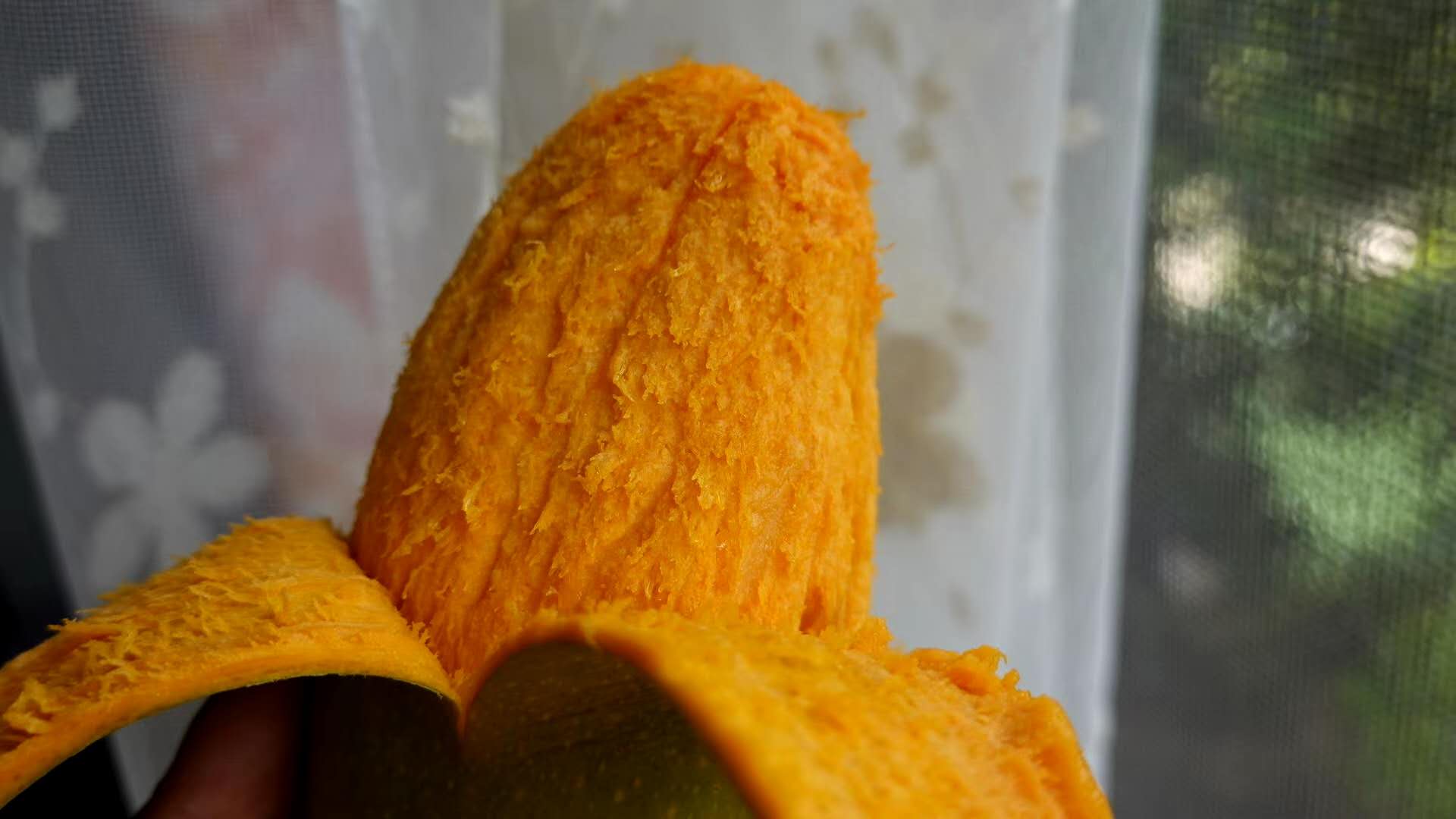 攀枝花椰香芒 椰香味浓郁，纯甜无酸 5斤，8斤