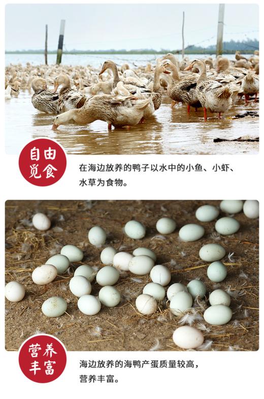 根据abcxyz 商品图0