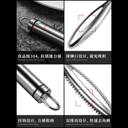 304不锈钢鱼鳞刨 商品图4
