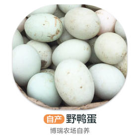 自养丨博瑞生态园鸭蛋10枚