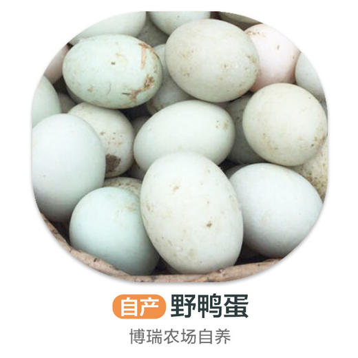 自养丨博瑞生态园鸭蛋10枚 商品图0
