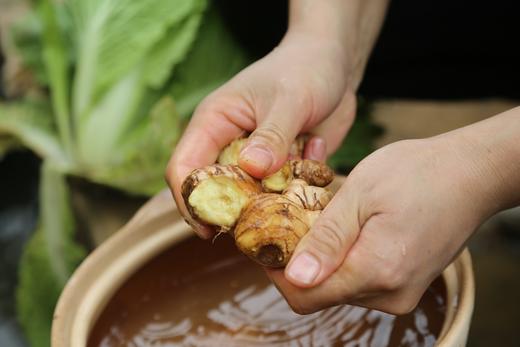 手工熬制姜枣膏 罗平小黄姜 姜枣膏 520g/瓶 商品图4
