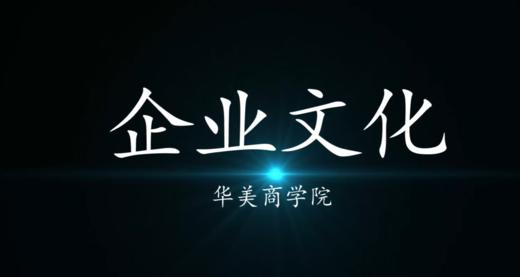 如何落地企业文化 商品图0