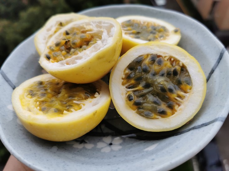 不多见的黄金百香果 比紫皮百香果更甜 散发着10多种水果的混合香味