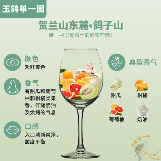 玉鸽 | 单一园霞多丽干白葡萄酒   750ml 商品图4