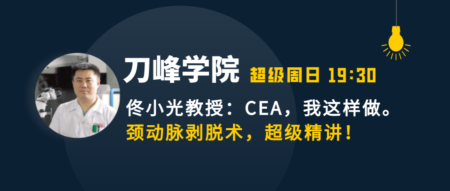刀峰学院：佟小光教授精讲CEA！