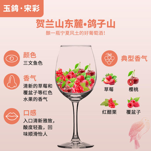 玉鸽 | 宋彩桃红葡萄酒 750ml 商品图3