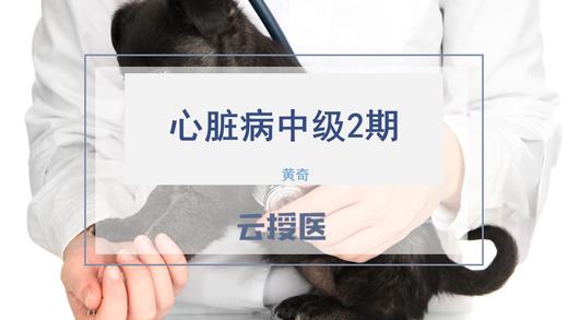 心脏病系列课中级2期 商品图0