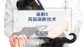 麻醉8  局部麻醉技术