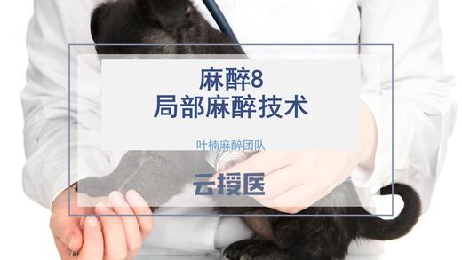 麻醉8  局部麻醉技术 商品图0