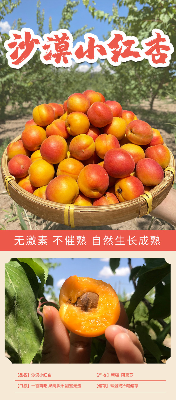 7.2 新疆阿克苏小红杏4斤装