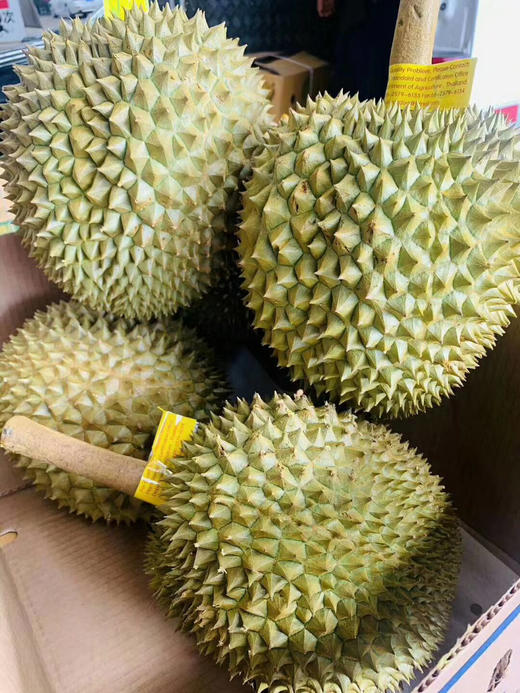 猫山王榴莲500g 商品图1