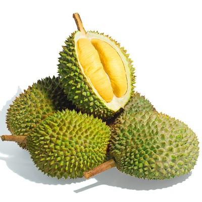 猫山王榴莲500g 商品图0