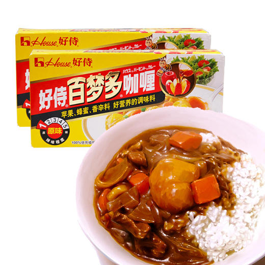 好侍百梦多辣味咖喱100g 商品图0