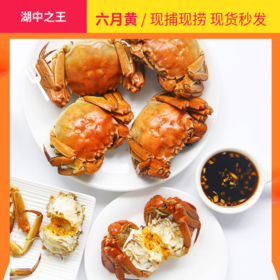 江浙沪最嫩童子蟹，懂的人都在尝鲜了！