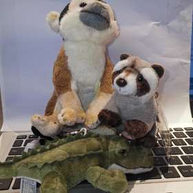 美国National Geographic国家地理6寸