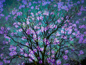 XPM摄影教育提升课 著名摄影家史林平《风光摄影必修课》