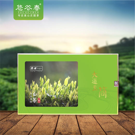 大道至简 • 高氨基酸白茶试喝样品 商品图0