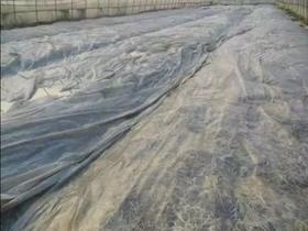 如何进行高温闷棚