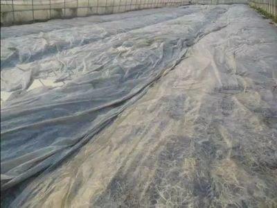 如何进行高温闷棚 商品图0