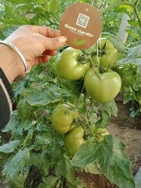 三水定乾坤如何使用