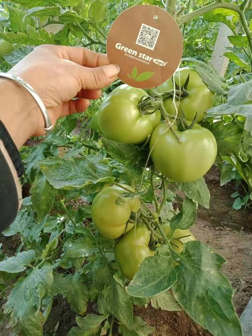 三水定乾坤如何使用 商品图0