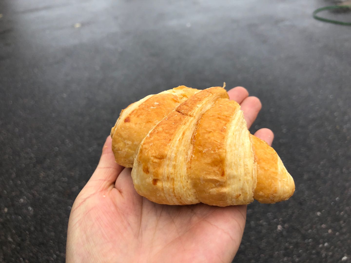 强烈推荐超级好吃的流心奶黄牛角包纯手工制作层次分明口感酥软齿