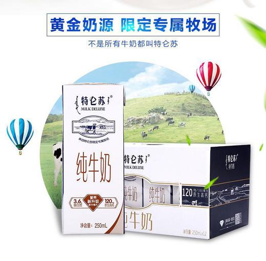 特仑苏250ml*12盒 商品图0