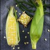 CY-云南水果甜玉米 商品缩略图2