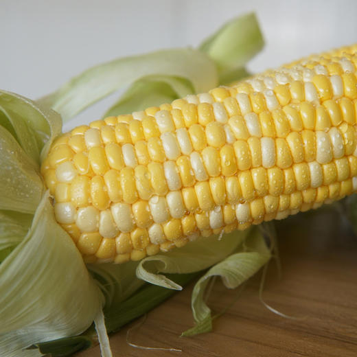 CY-云南水果甜玉米 商品图4