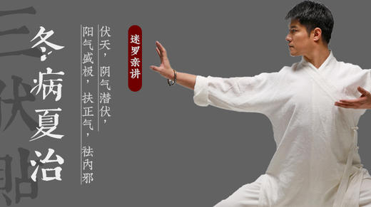 冬病夏治贴三海 商品图0