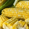 CY-云南水果甜玉米 商品缩略图0