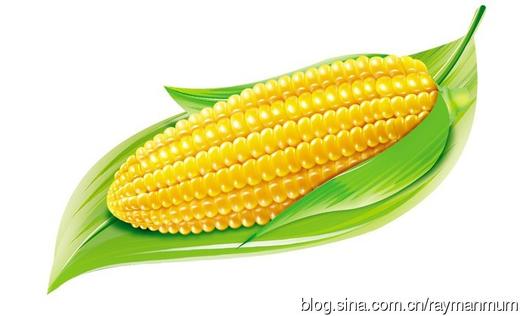 【婴幼儿饮食常识】吃玉米要加碱 商品图0