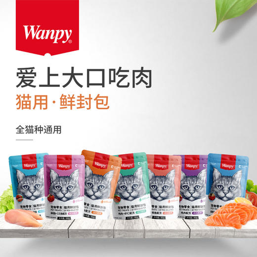 顽皮鲜封包湿粮10包 商品图0