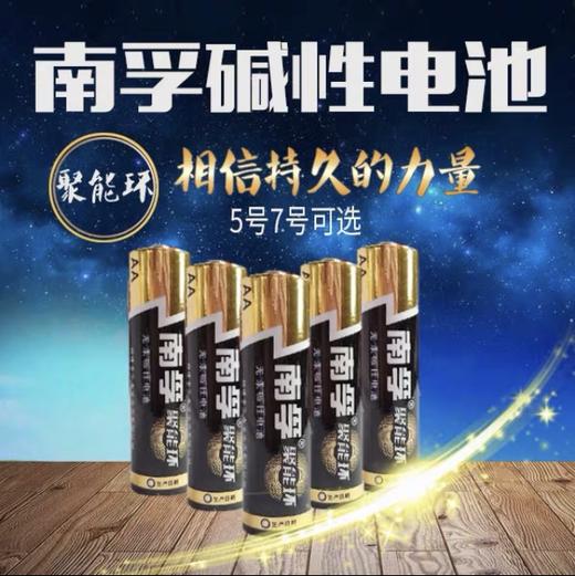 南孚碱性电池5号/节 商品图2