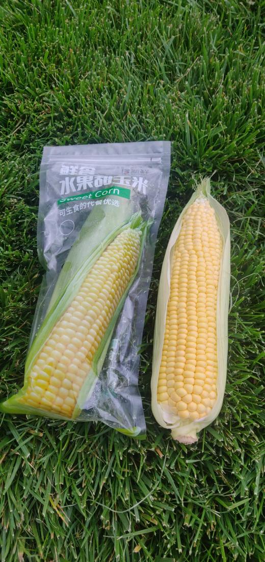 助农甄选测试 商品图0