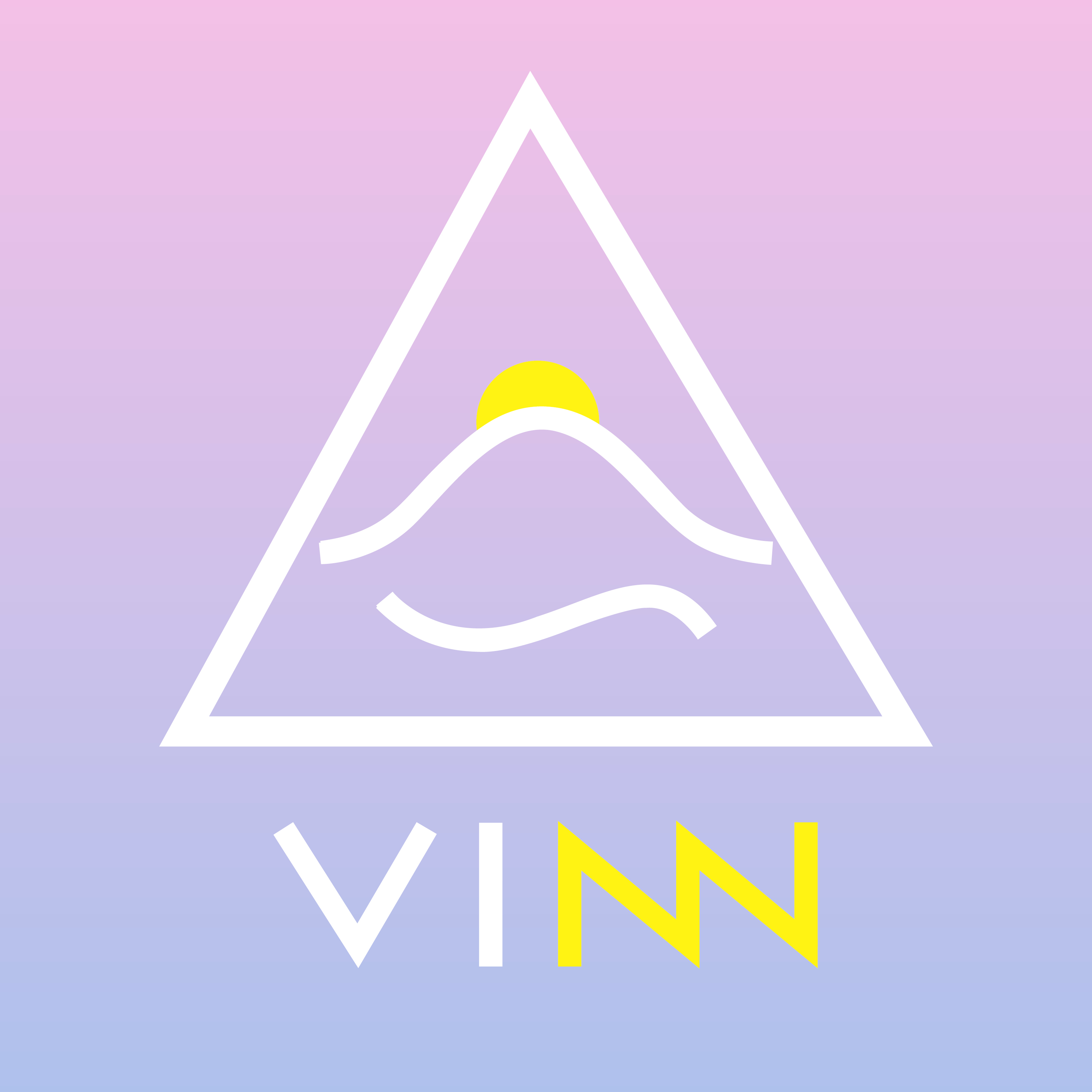 VinnVision
