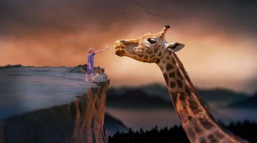 妈妈爸爸，看我32变！ 商品图0